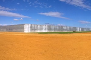 Greenhouse Project – Phase I New River Valley Commerce Park – Pulaski County, VA – COMPLETED!
