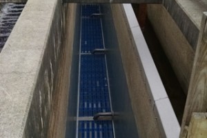 Richmond WWTP Effluent Filter Rehab Phase II - City of Richmond, VA - COMPLETED!