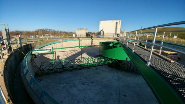 Some outdoor plant thing